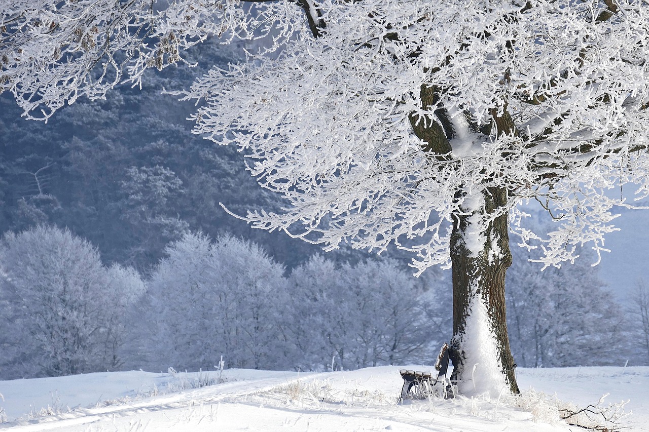Noorse gebreide trui met winterse motieven. Noorse gebreide trui met winterse motieven.